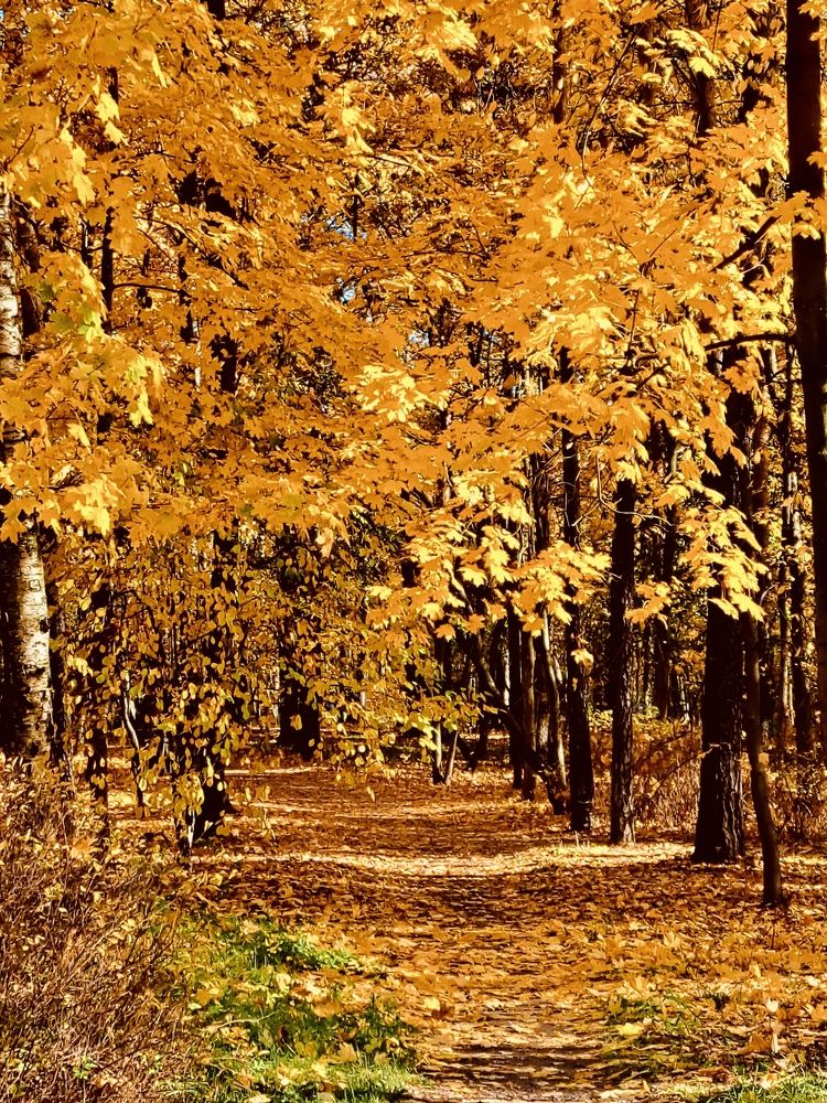 Photograph by Елена Маркова