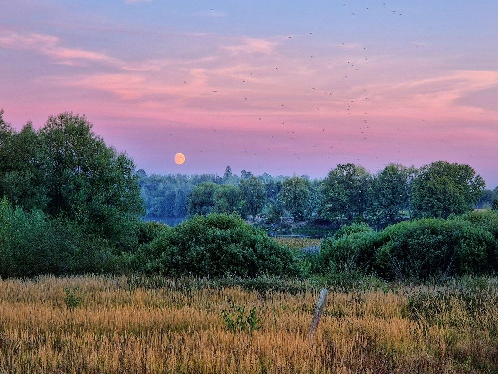 Photograph by Joanna Bell