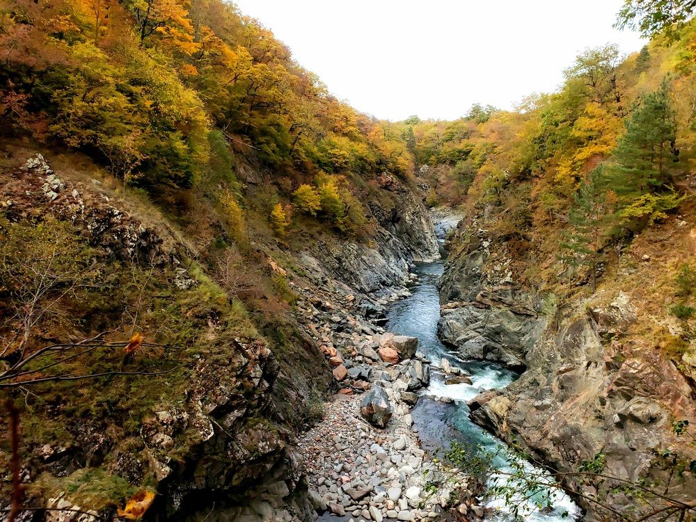 Photograph by Сергей Кравченко