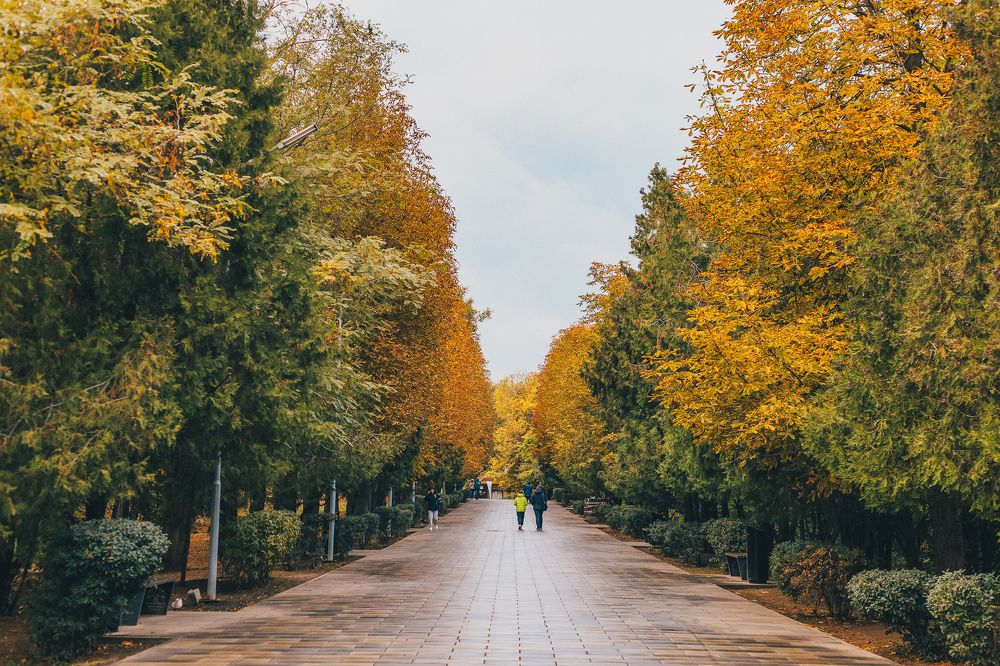 Photograph by Оксана Богачёва