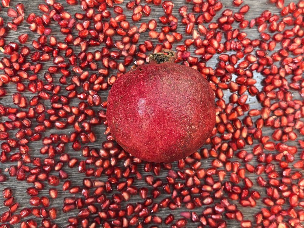 Photograph by Елизавета Зыкова