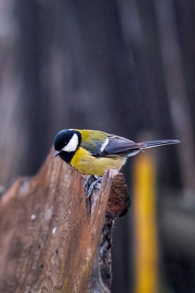 Photograph by Сергей Кравченко