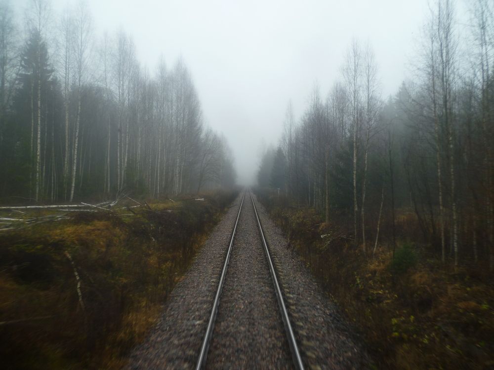 Photo #11201400