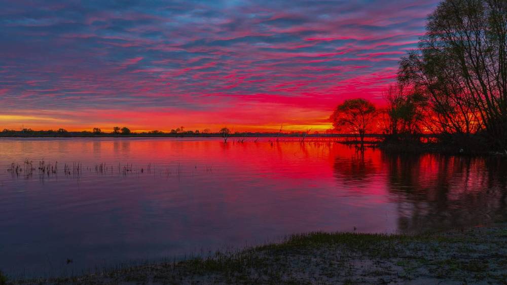 Photograph by Александр Литвинов