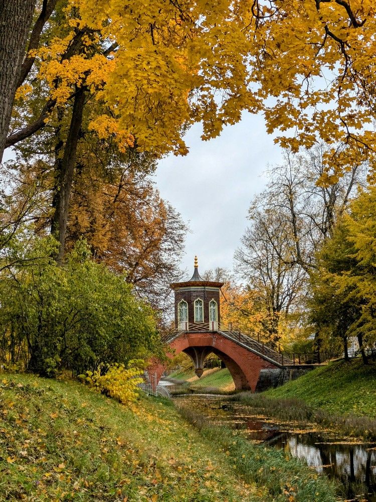 Photograph by Лола Балашова