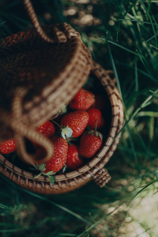 Photograph by Анна Балова