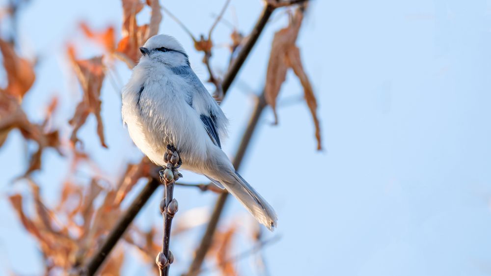 Photograph by Бодрягин Виталий