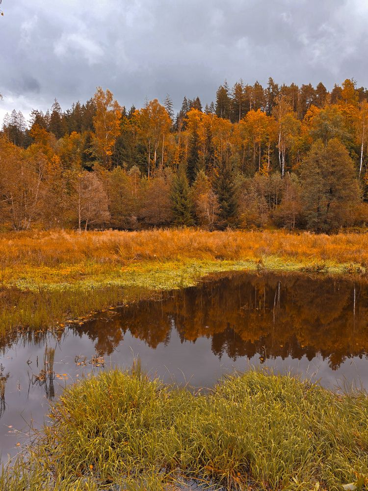 Photograph by Светлана