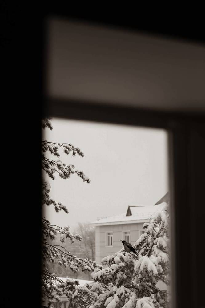 Photograph by Анна Балова