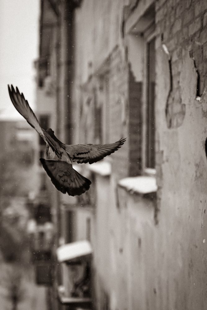 Photograph by Анна Балова