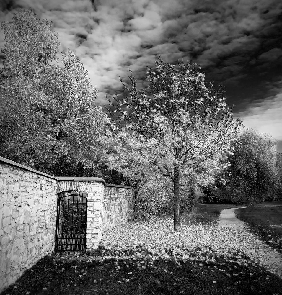 Photograph by Кожухов Алексей