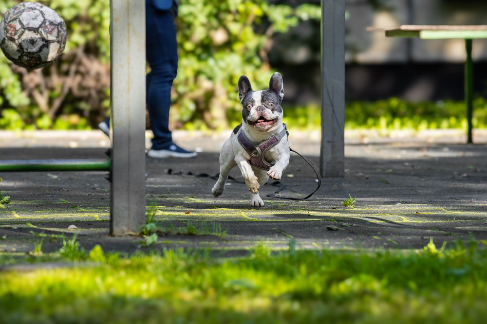 Photograph by Людмила Подольская