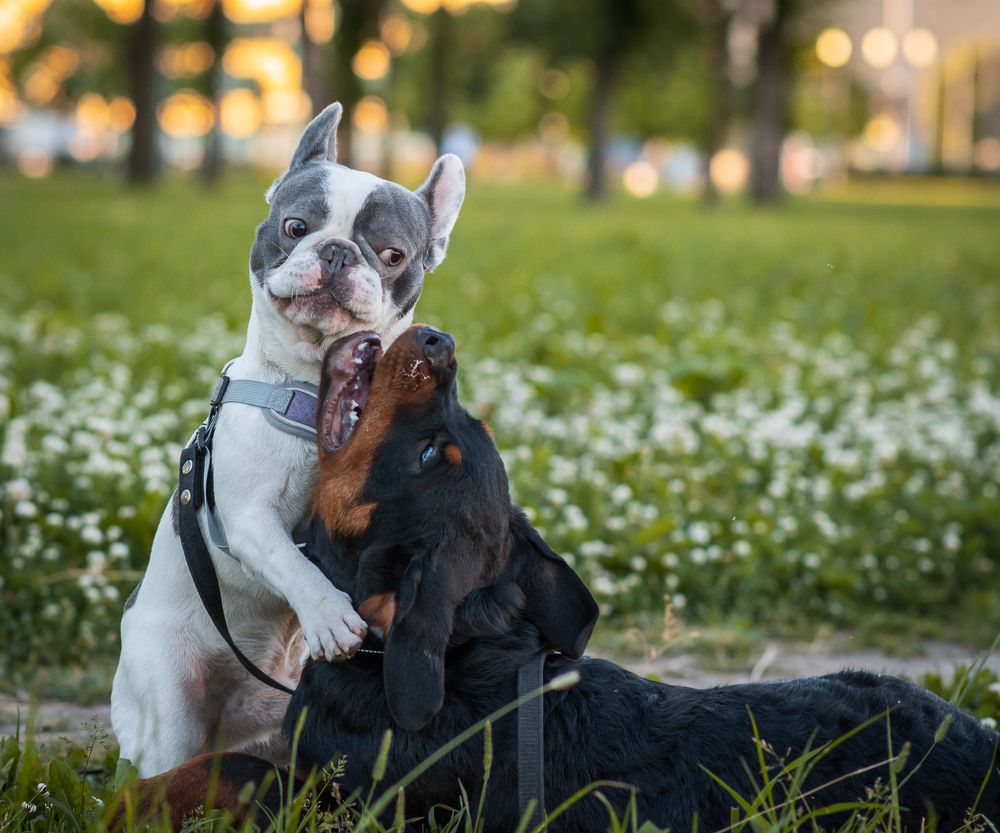 Photograph by Людмила Подольская