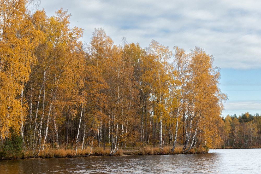 Фотография автора Алина Павлова