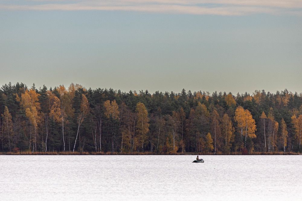 Фотография автора Алина Павлова