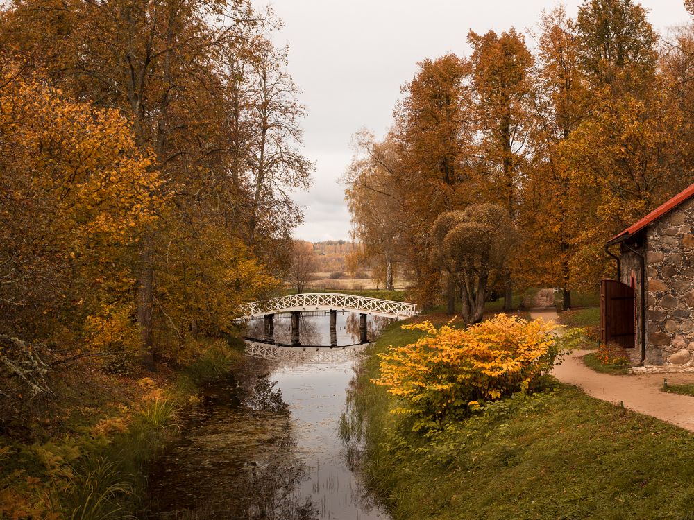 Photograph by Natalia Levenih