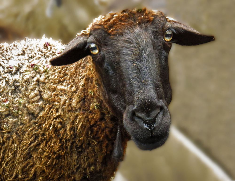 Photograph by Нина Будникова