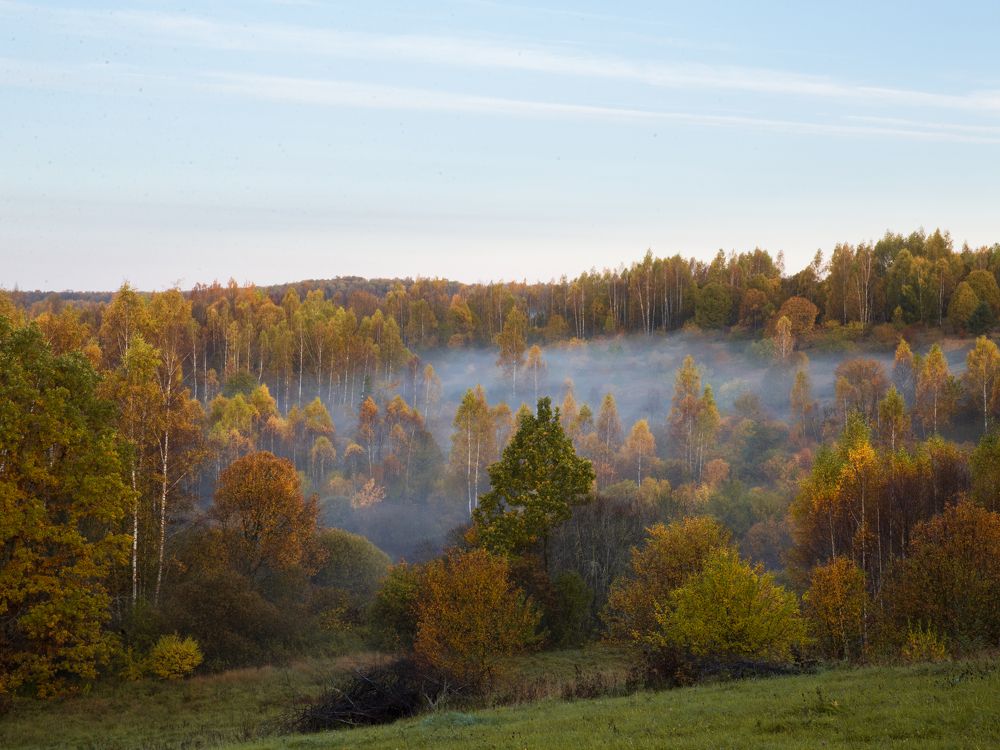 Photograph by Natalia Levenih