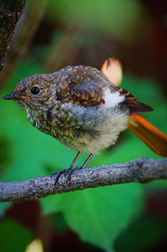 Photograph by Алексей Мякота