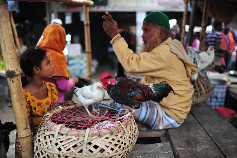 Photograph by Sarjil Karim