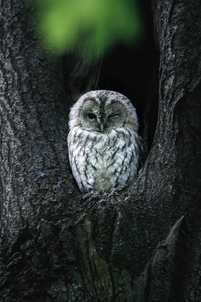 Photograph by Илья Горшенков