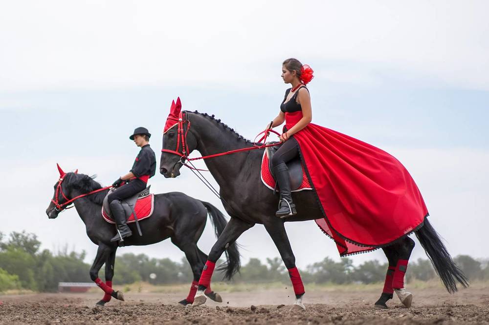 Фотография автора Владимир Пронин