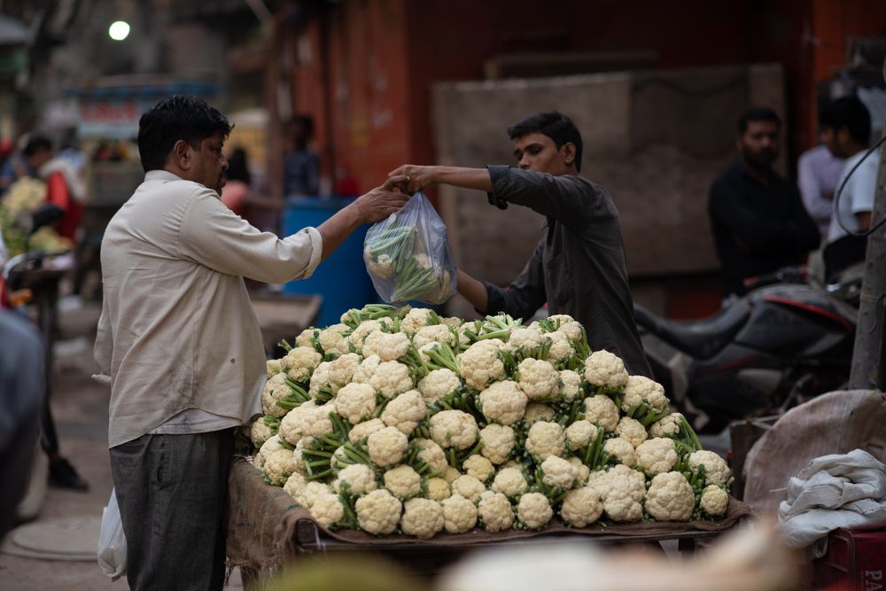 Фотография автора Людмила Кириллова