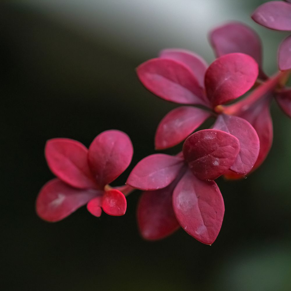 Фотография автора Владимир Пронин