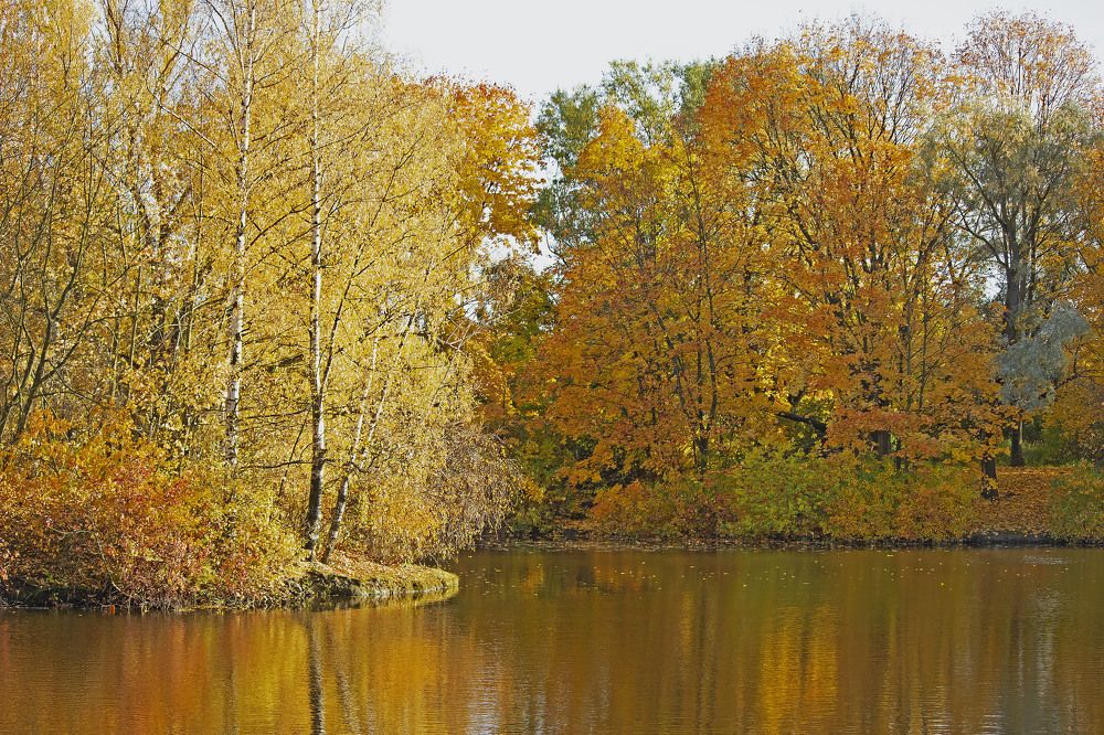 Photograph by Татьяна Чумакова