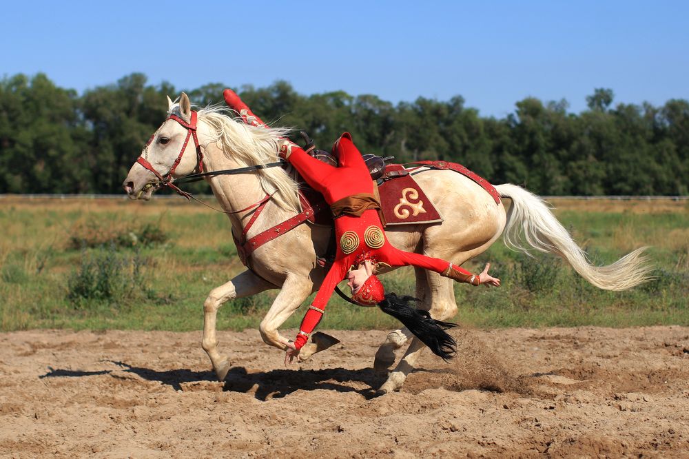 Фотография автора Владимир Пронин