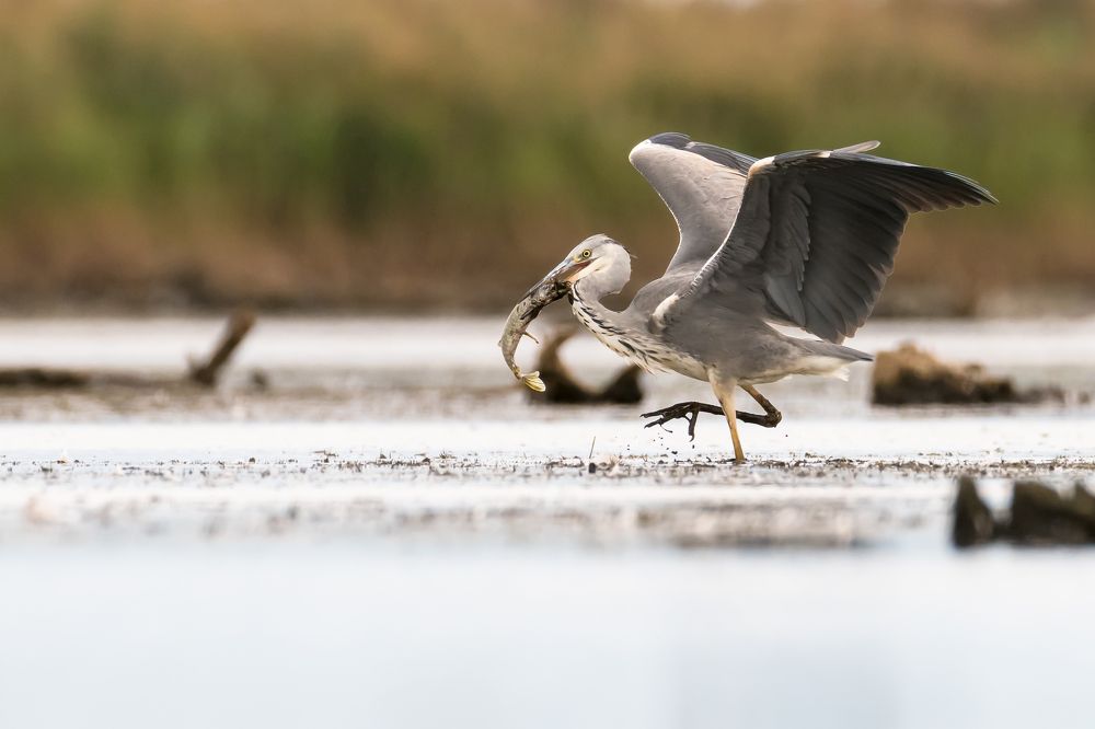Photograph by Valerijs Bukovskis