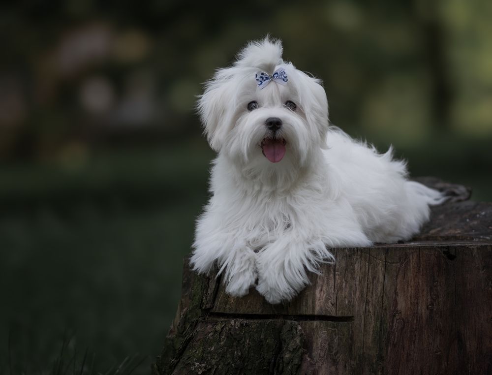 Photograph by Людмила Подольская