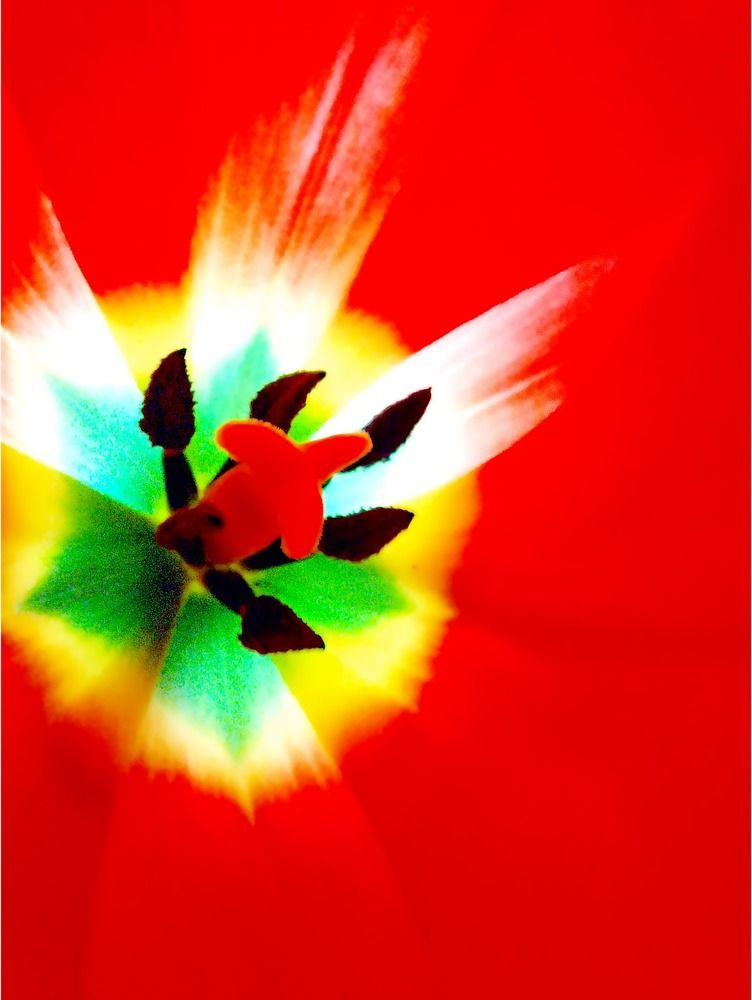 Photograph by Татьяна Слесарева