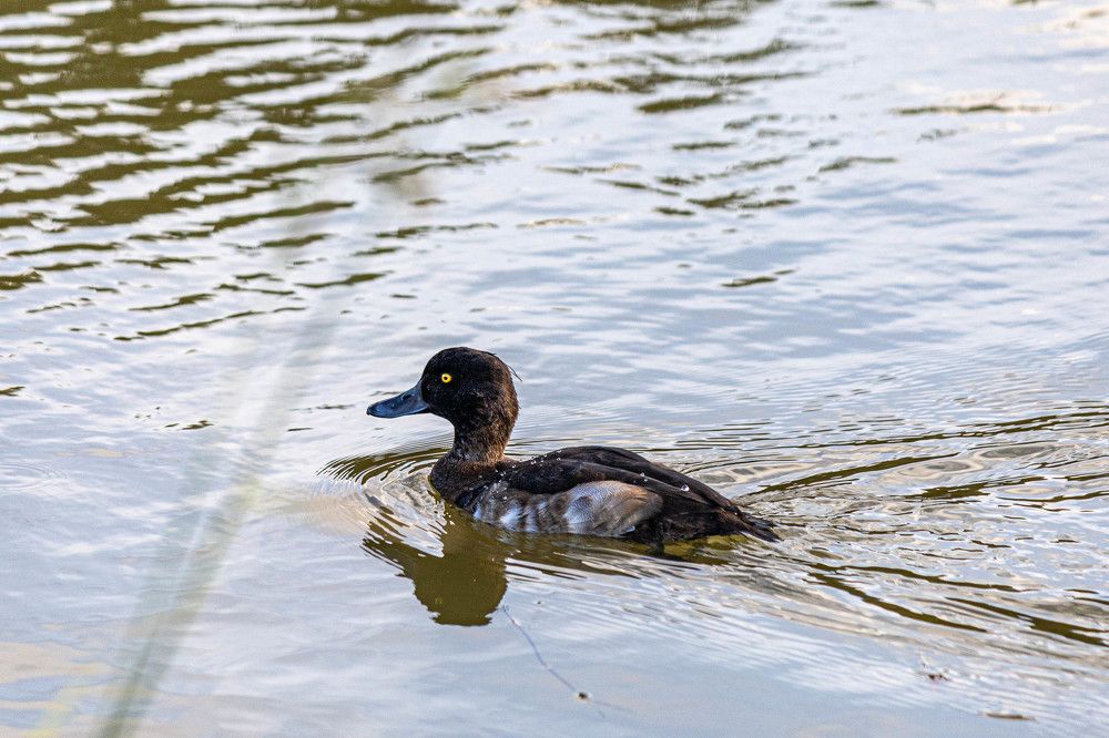 Фотография автора Алина Павлова