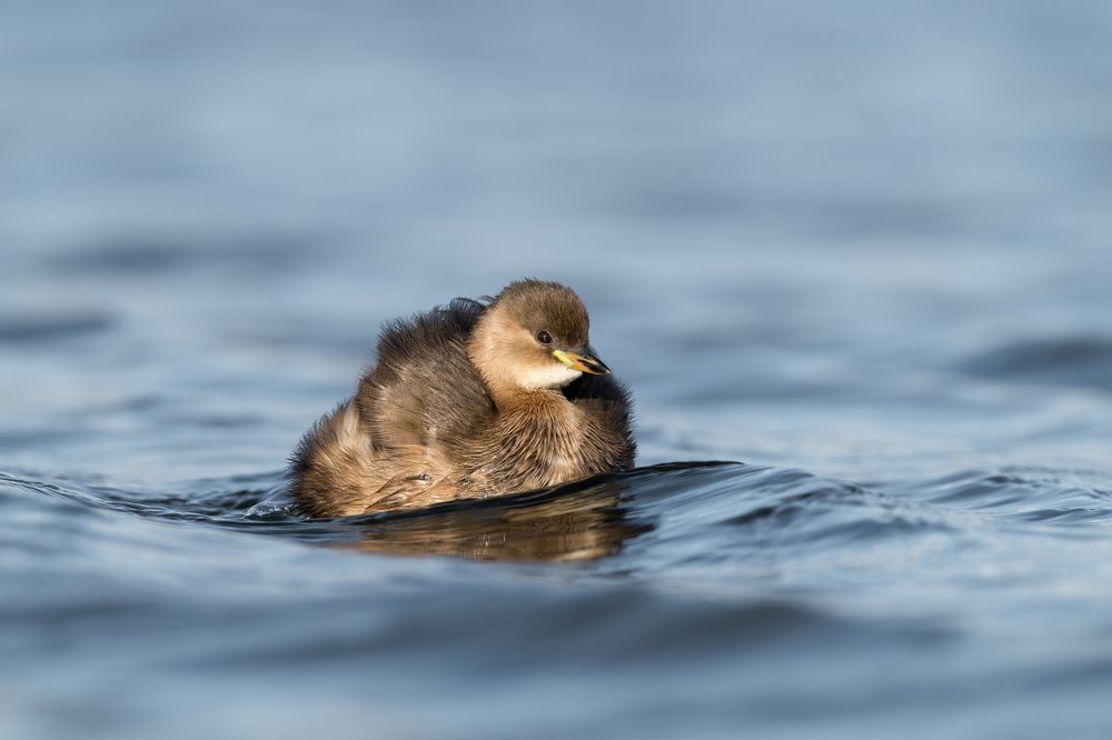 Photograph by Valerijs Bukovskis