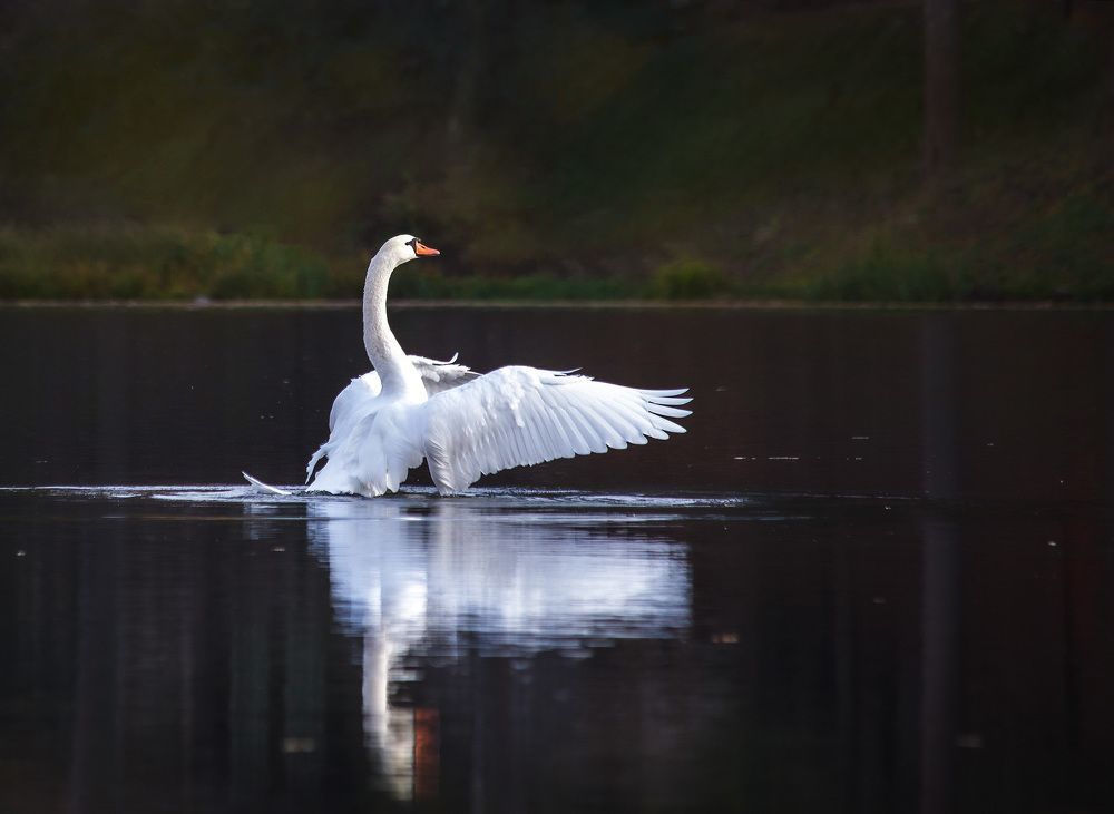 Photograph by Ткачёв Владимир