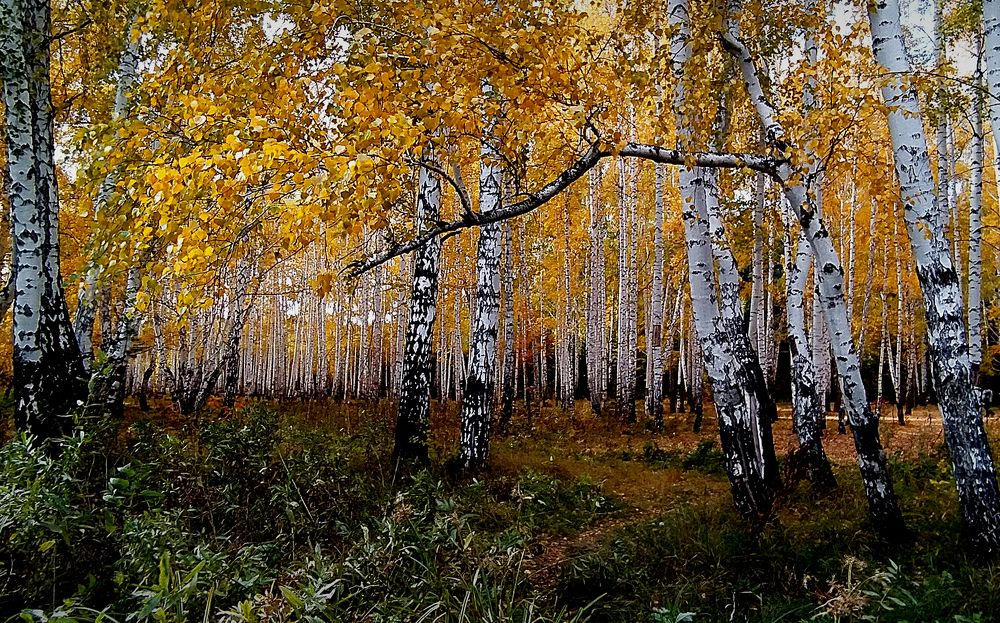 Photograph by Зоя Быкова