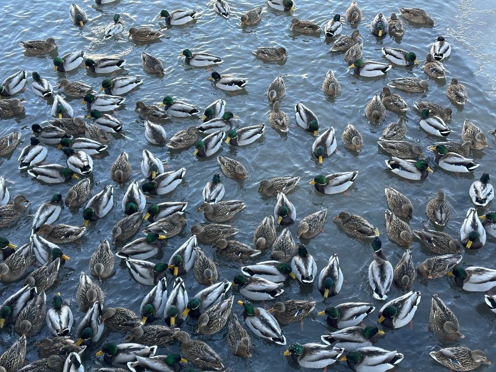 Photograph by Наталья Сережко