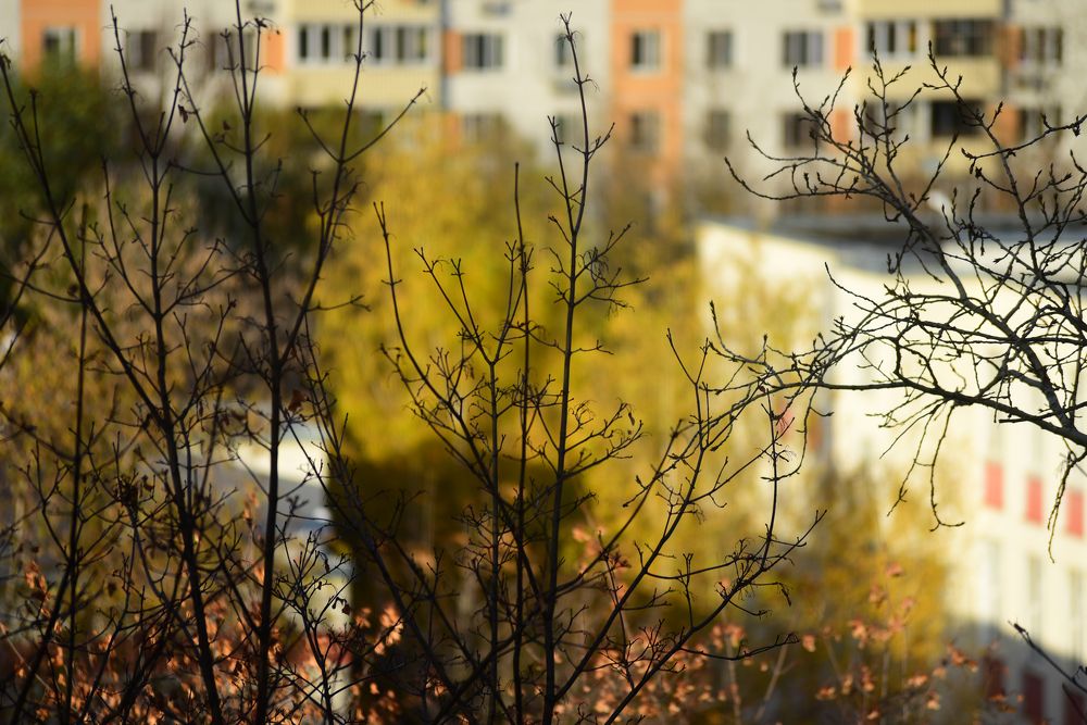 Photograph by Владислав Кравцов