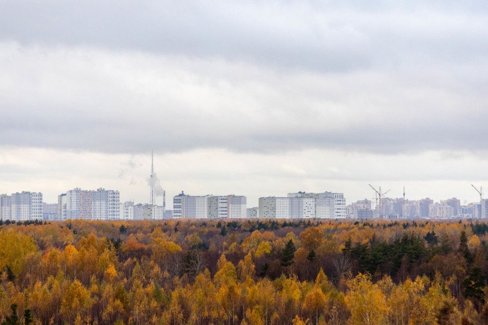 Фотография автора Алина Павлова