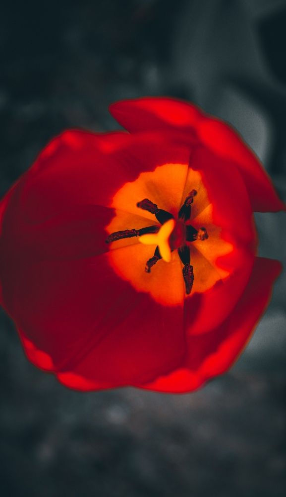 Photograph by Кристина Полякова