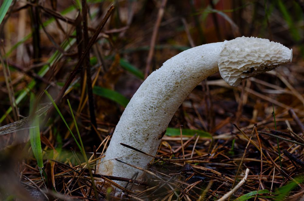 Photograph by Oleg Yashin