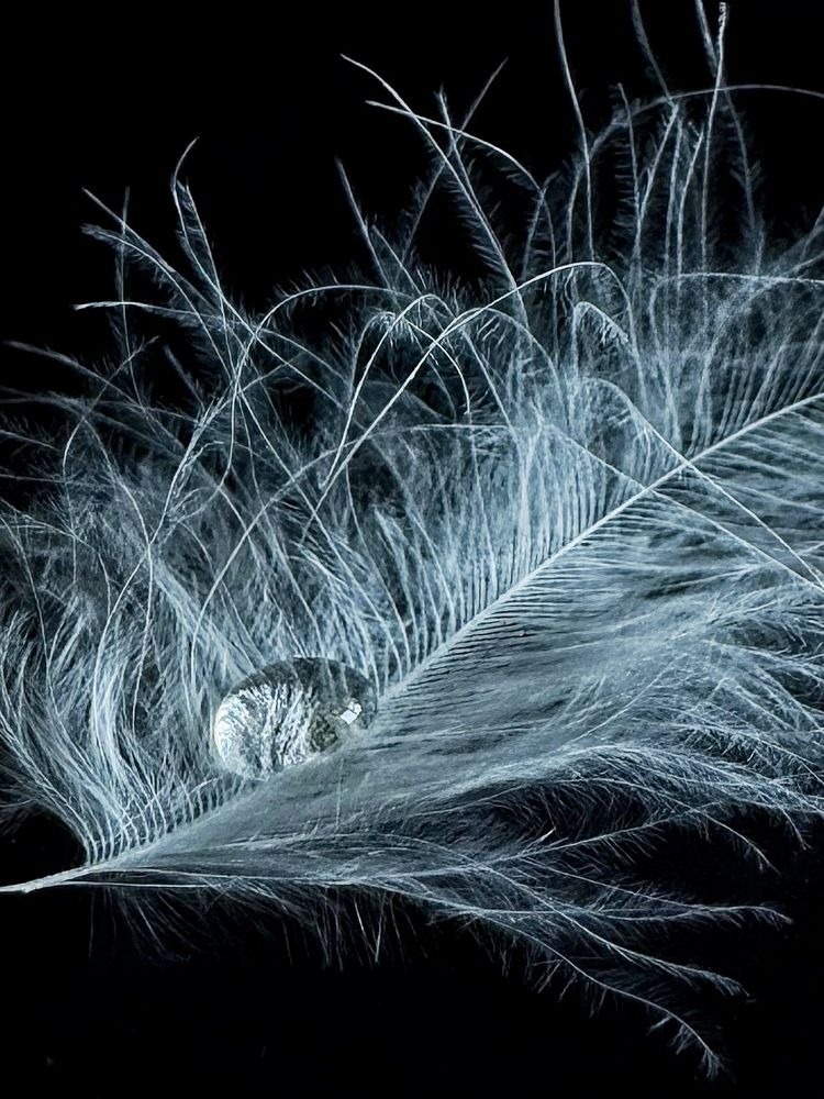 Photograph by Zhanna Kolesnikova