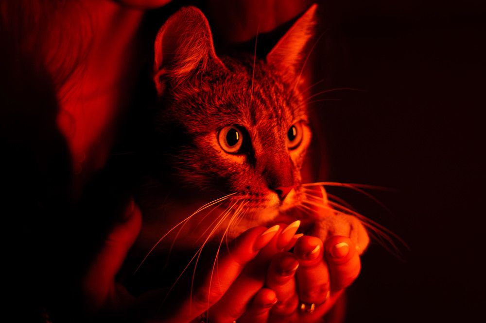 Фотография автора Максим Южик