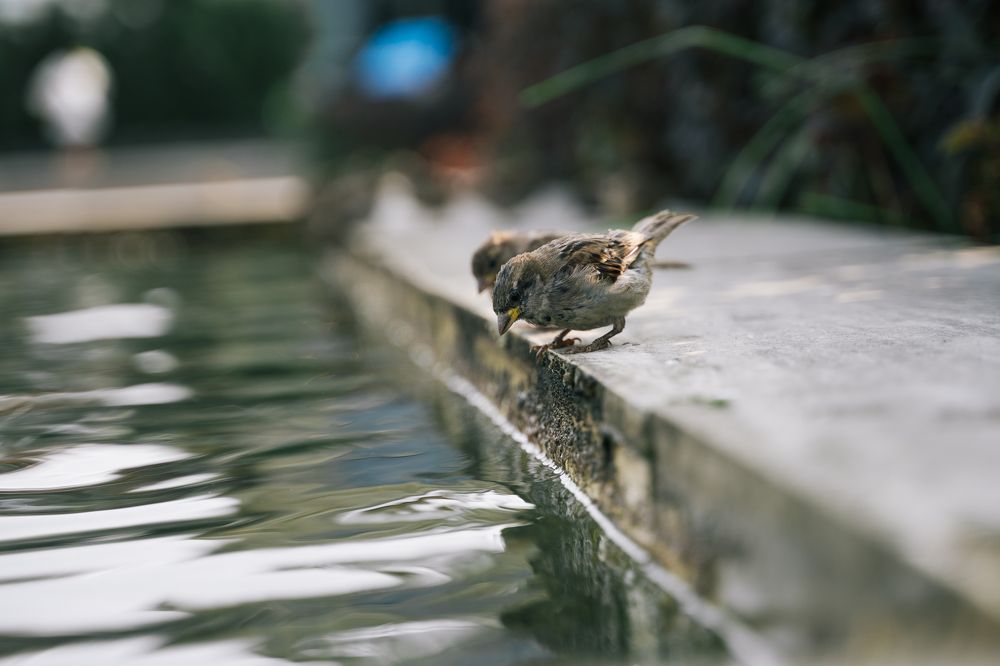 Photograph by Даниил Свиридов