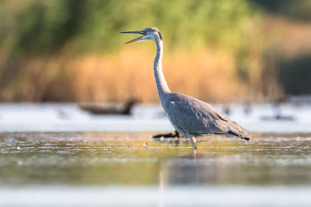 Photograph by Valerijs Bukovskis