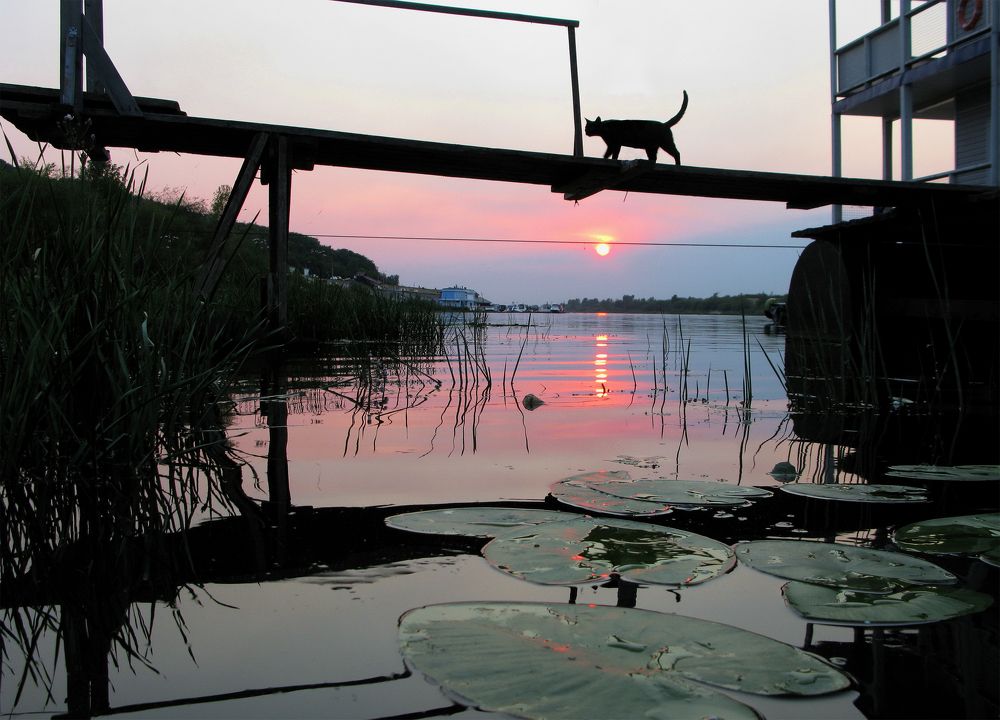 Photograph by Анатолий Бирюков