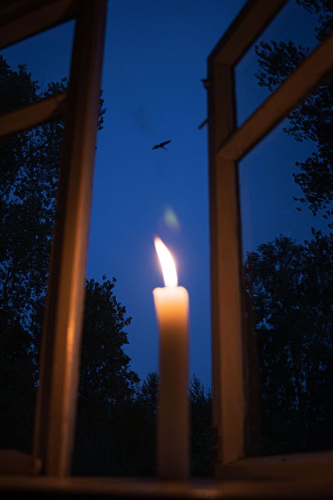 Фотография автора Максим Южик