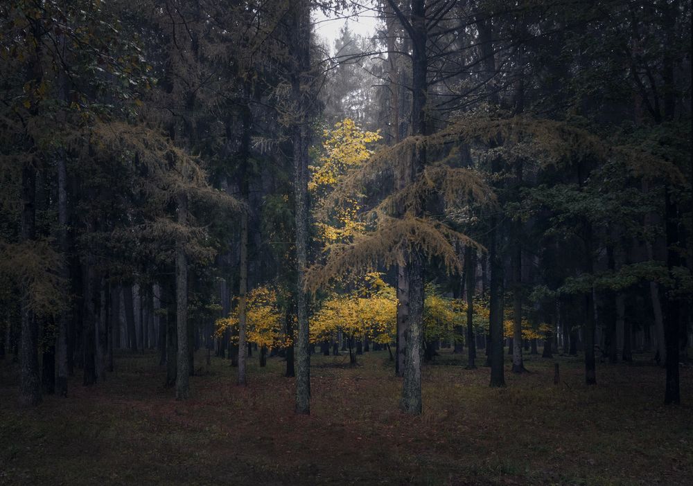 Photograph by  Ольга