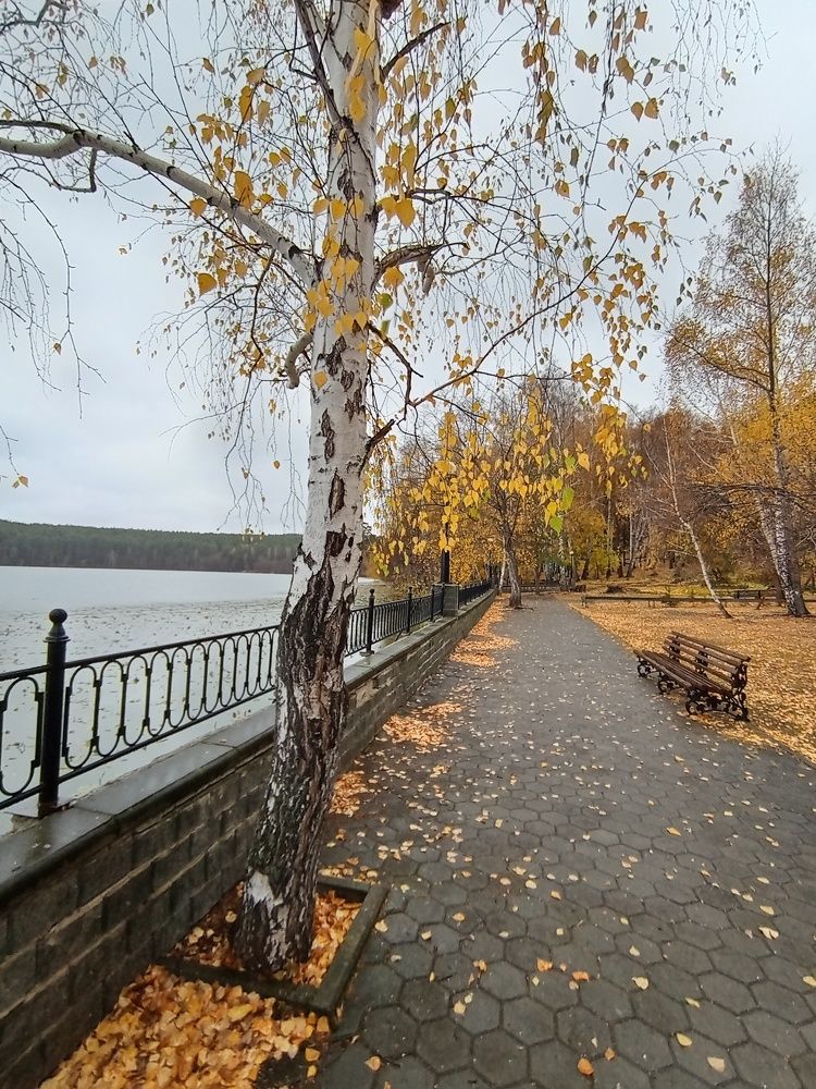 Photograph by Наталья Сырых